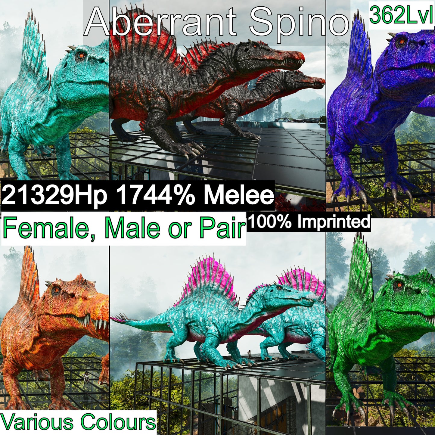 🦖 Aberrant Spino Spinosaurus 1744%Melee Colours