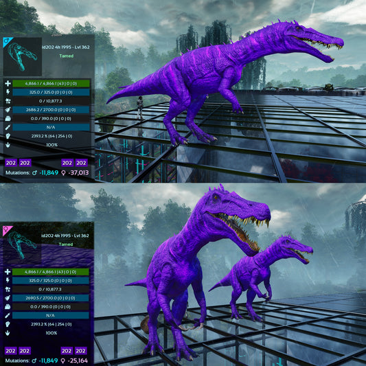 Aberrant Baryonyx 1941%m or 2393%m