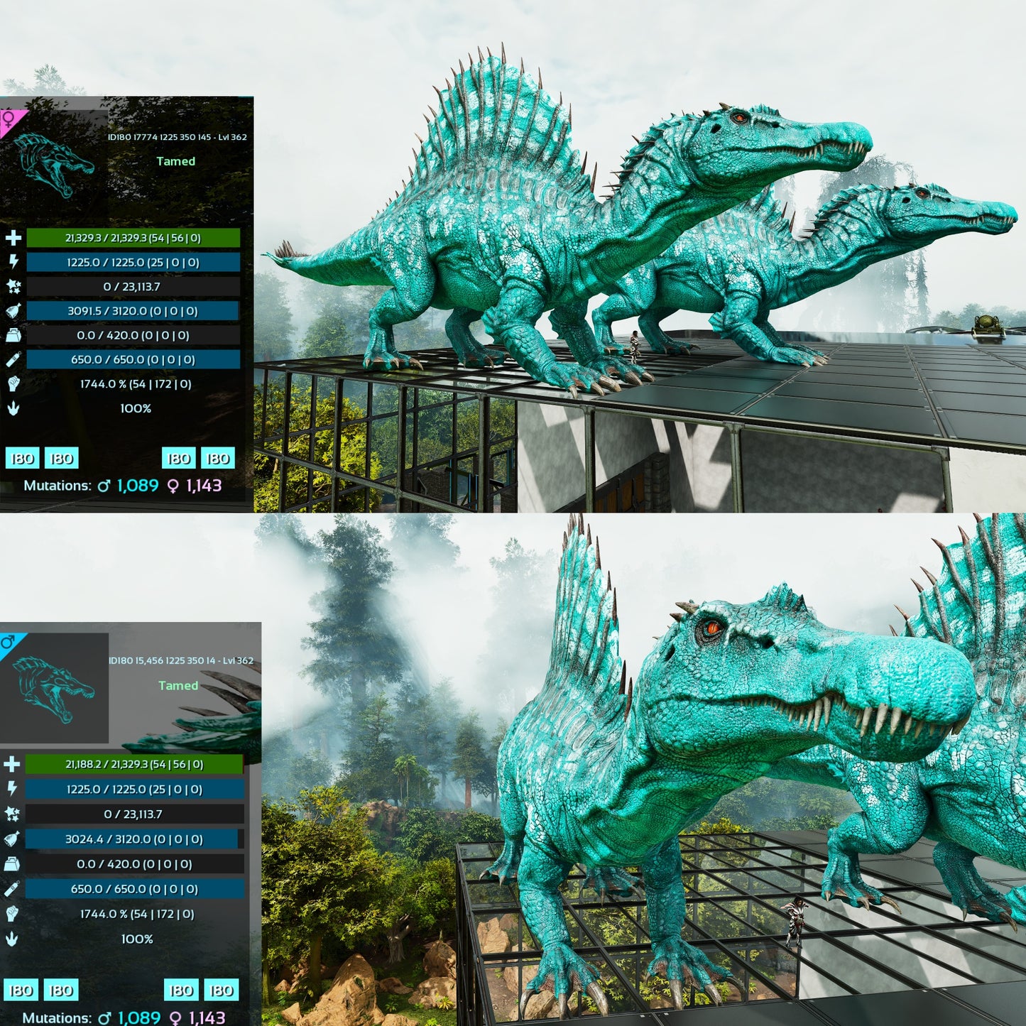 🦖 Aberrant Spino Spinosaurus 1744%Melee Colours