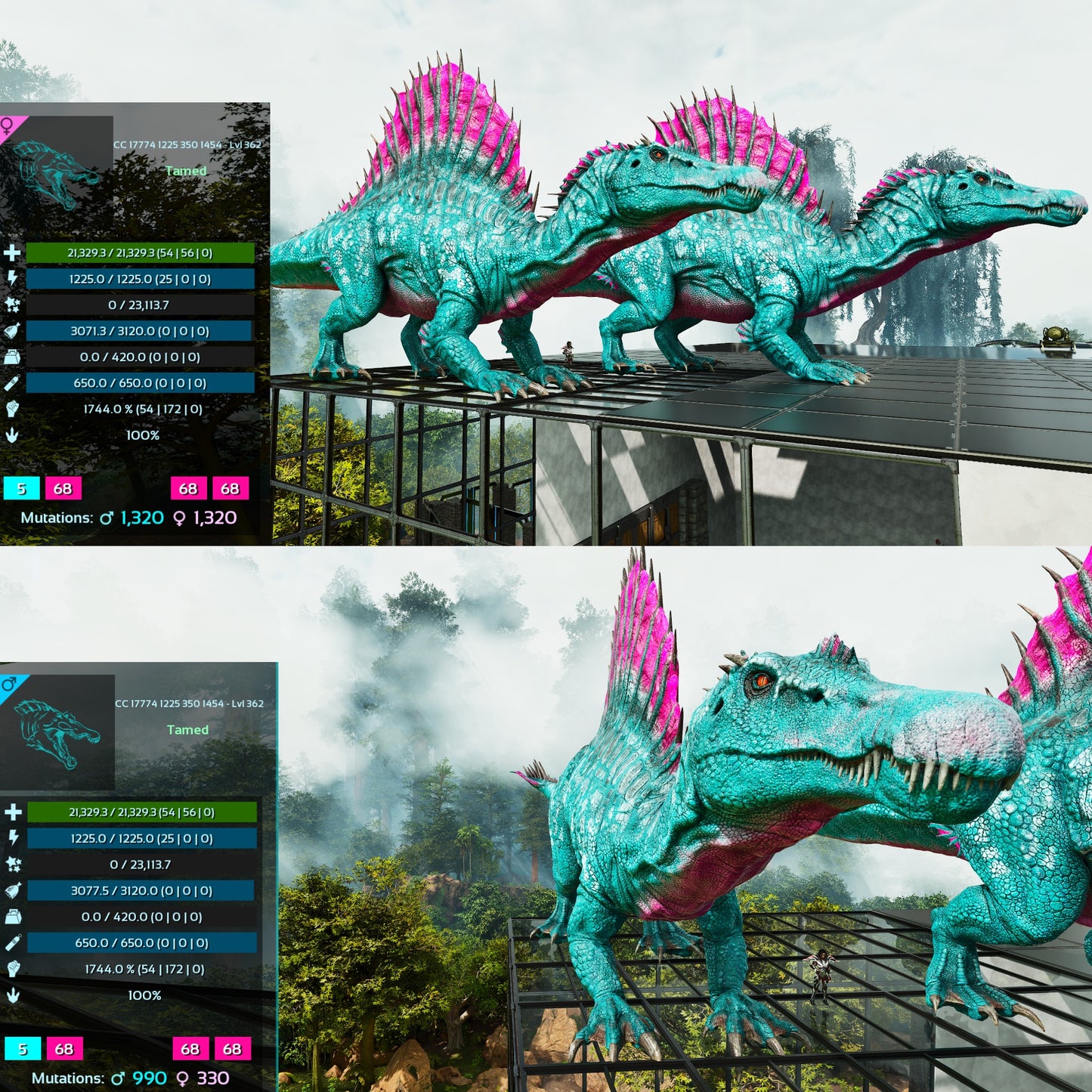 🦖 Aberrant Spino Spinosaurus 1744%Melee Colours