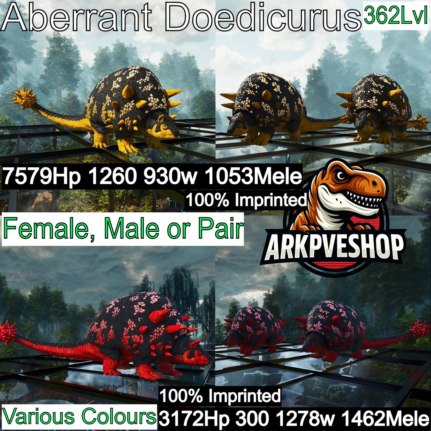 🏷️ Aberrant Doedicurus / Doedi 1053-1462Dmg 100%Imprinted 🏷️