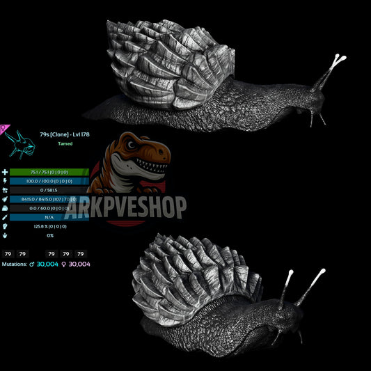 Achatina Snail Clone