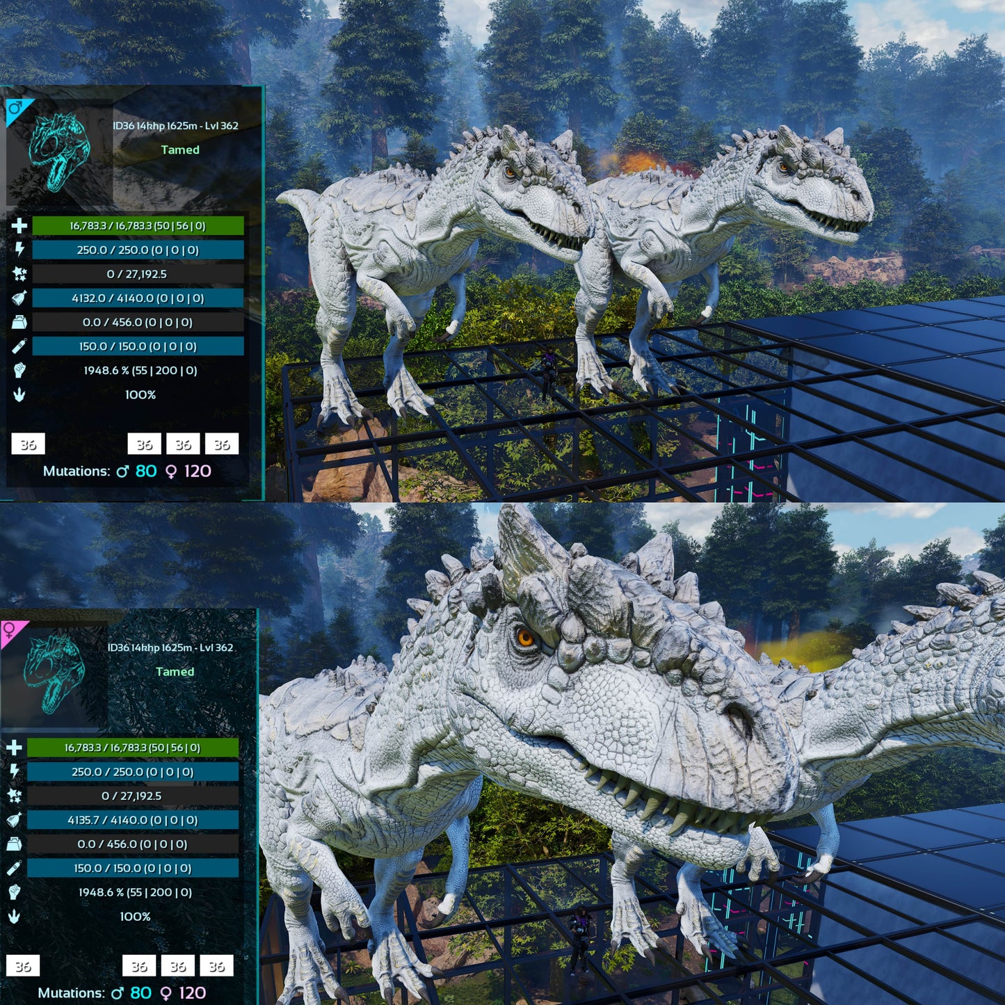 Allosaurus / Max Lvl 362 / Top Stats