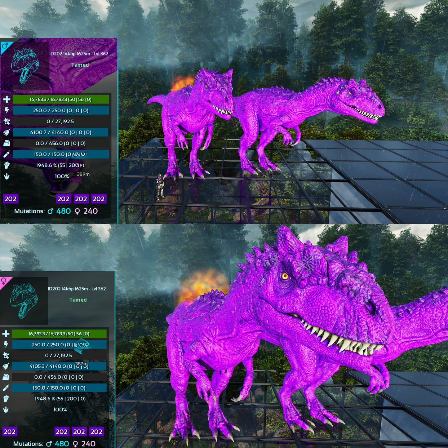 Allosaurus / Max Lvl 362 / Top Stats