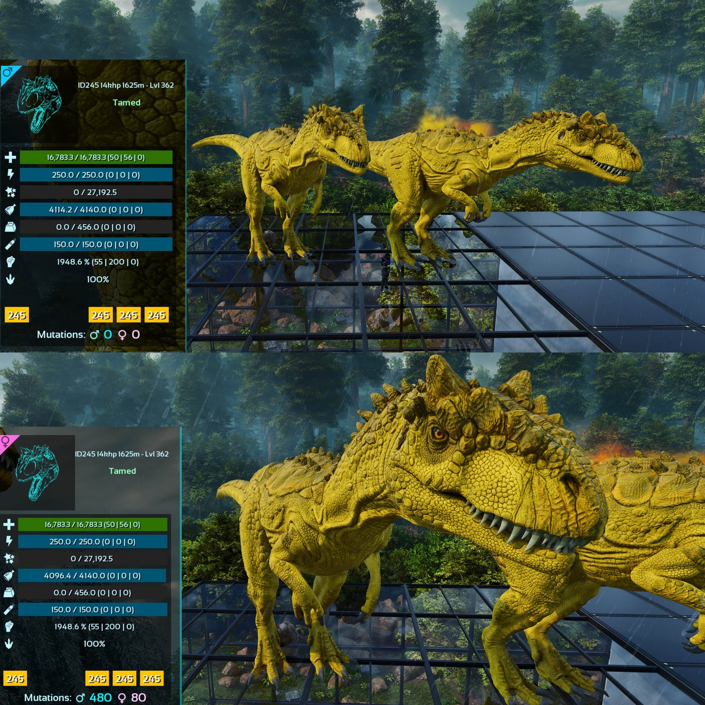 Allosaurus / Max Lvl 362 / Top Stats