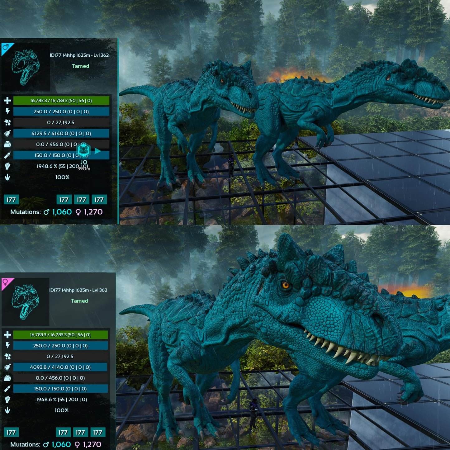 Allosaurus / Max Lvl 362 / Top Stats