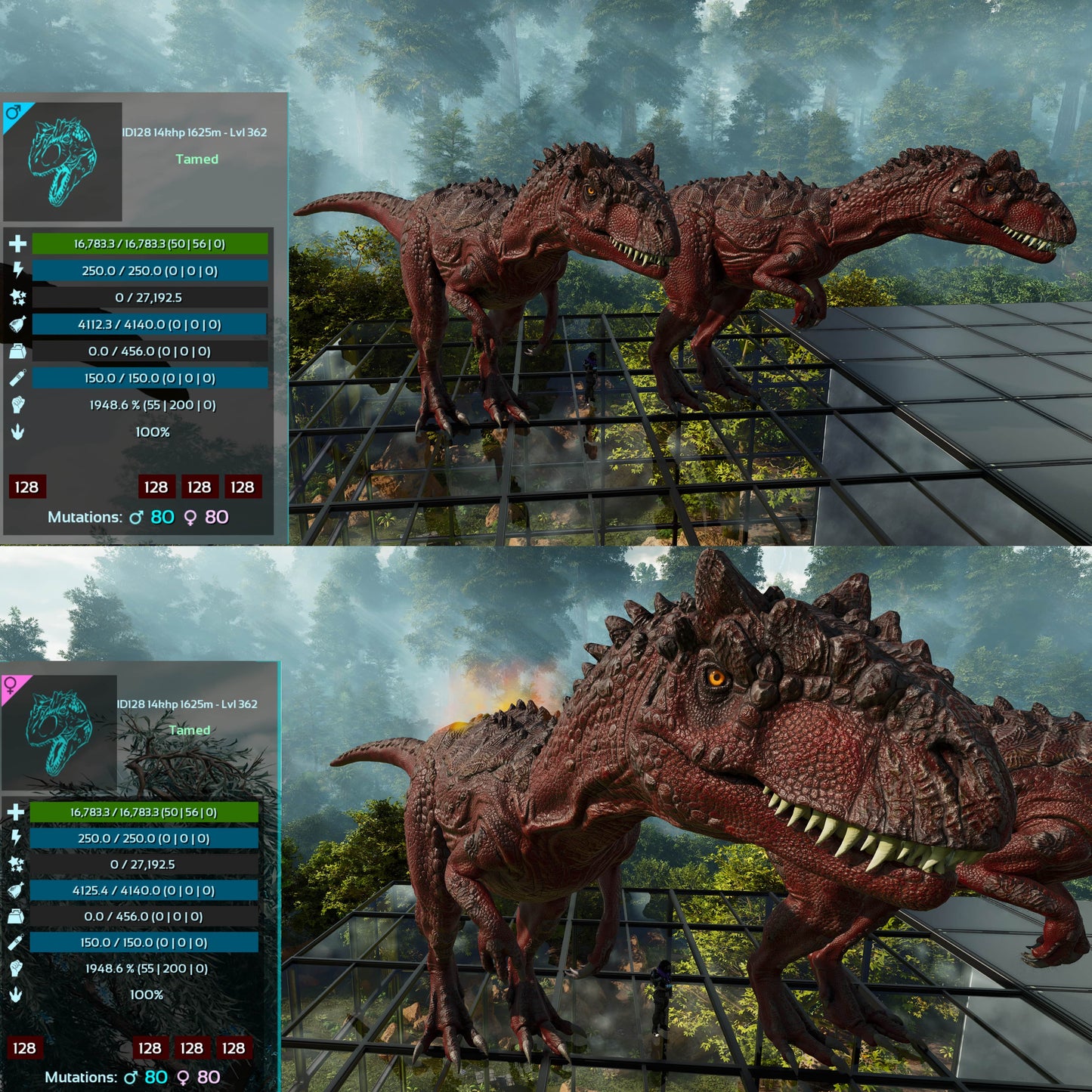 Allosaurus / Max Lvl 362 / Top Stats