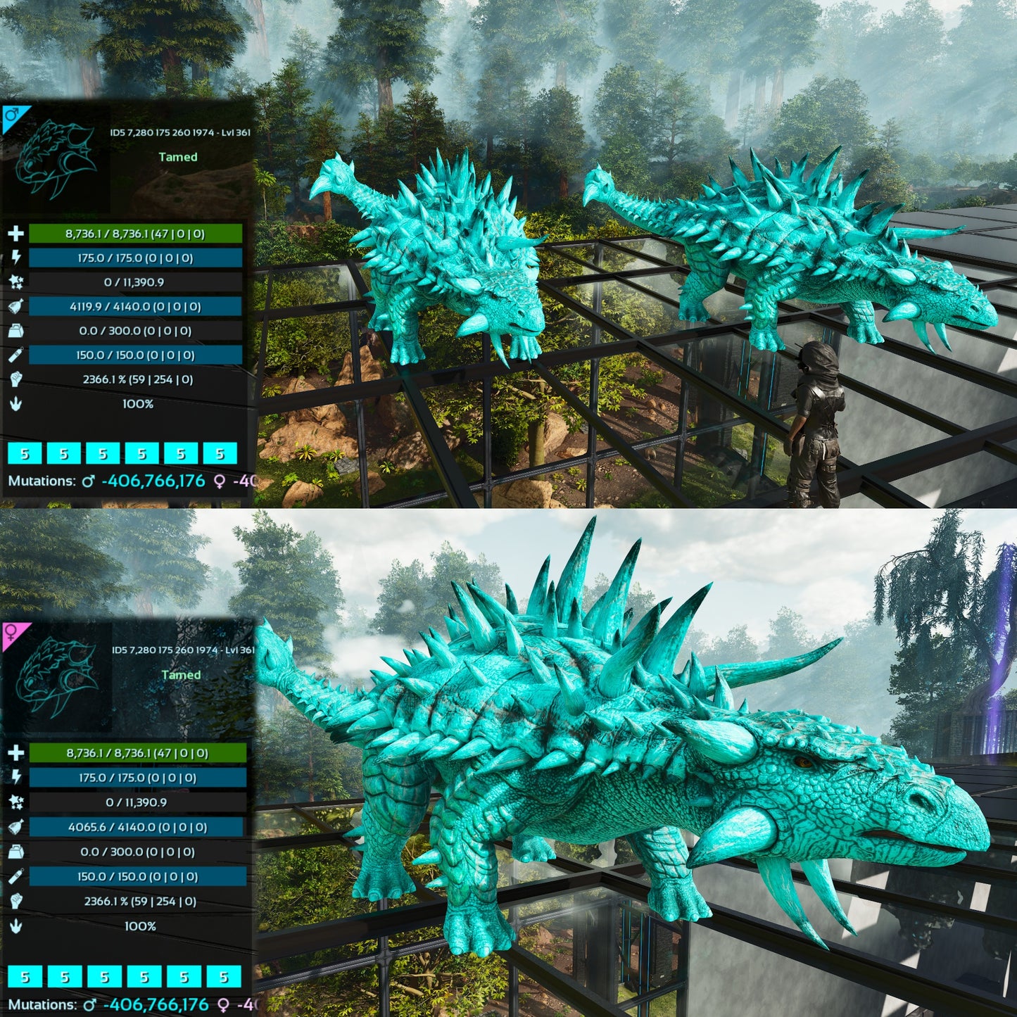 Ankylosaurus / Ankylo Top Stats Solid