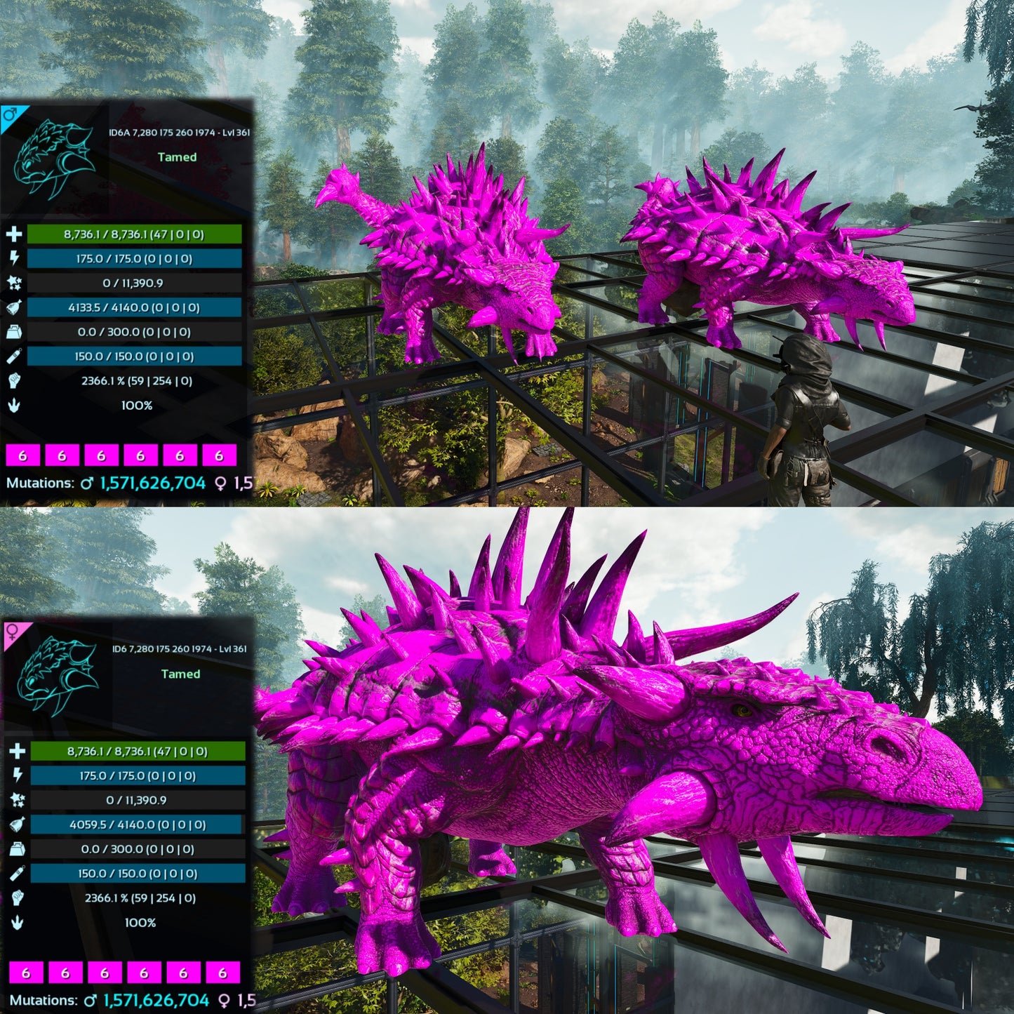 Ankylosaurus / Ankylo Top Stats Solid