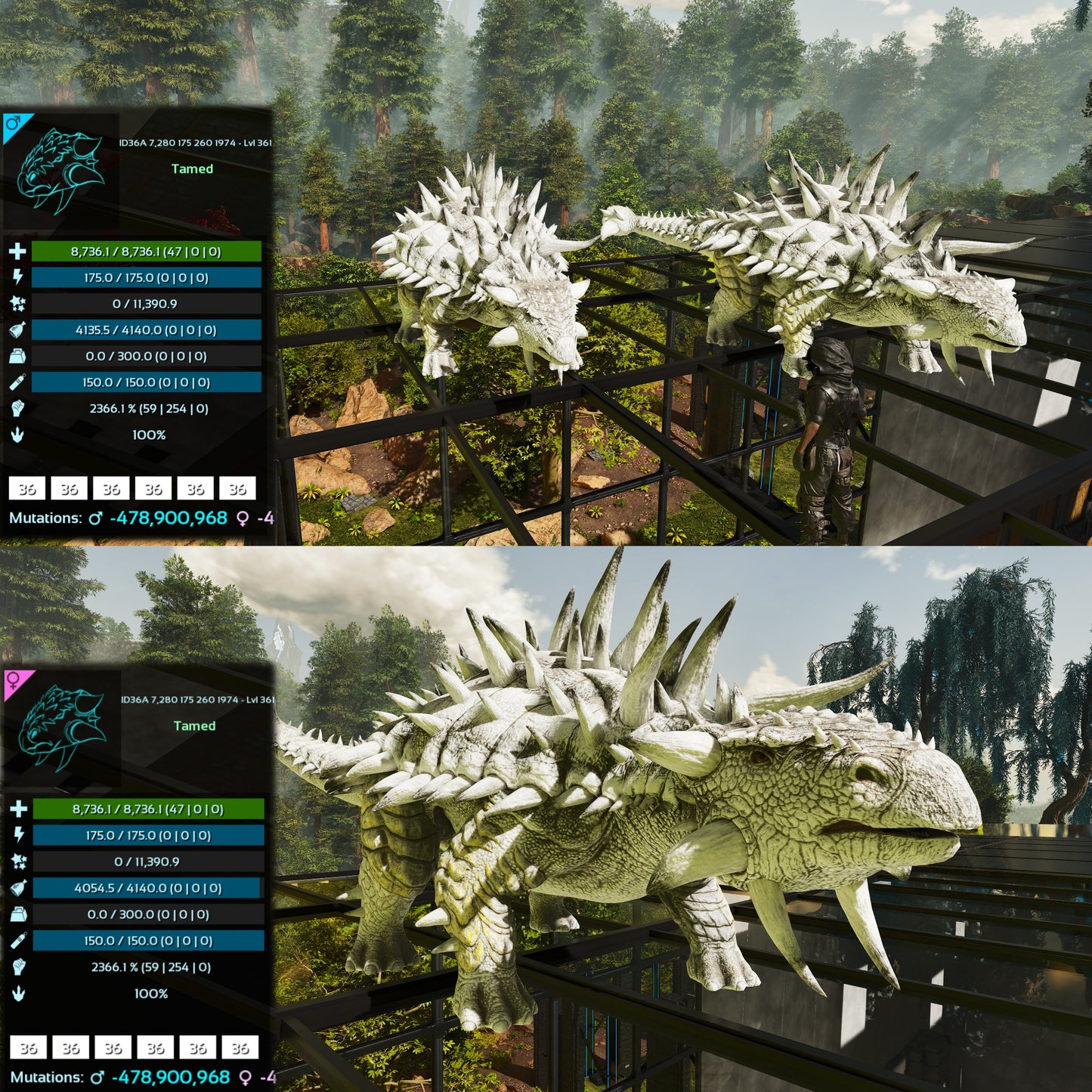 Ankylosaurus / Ankylo Top Stats Solid