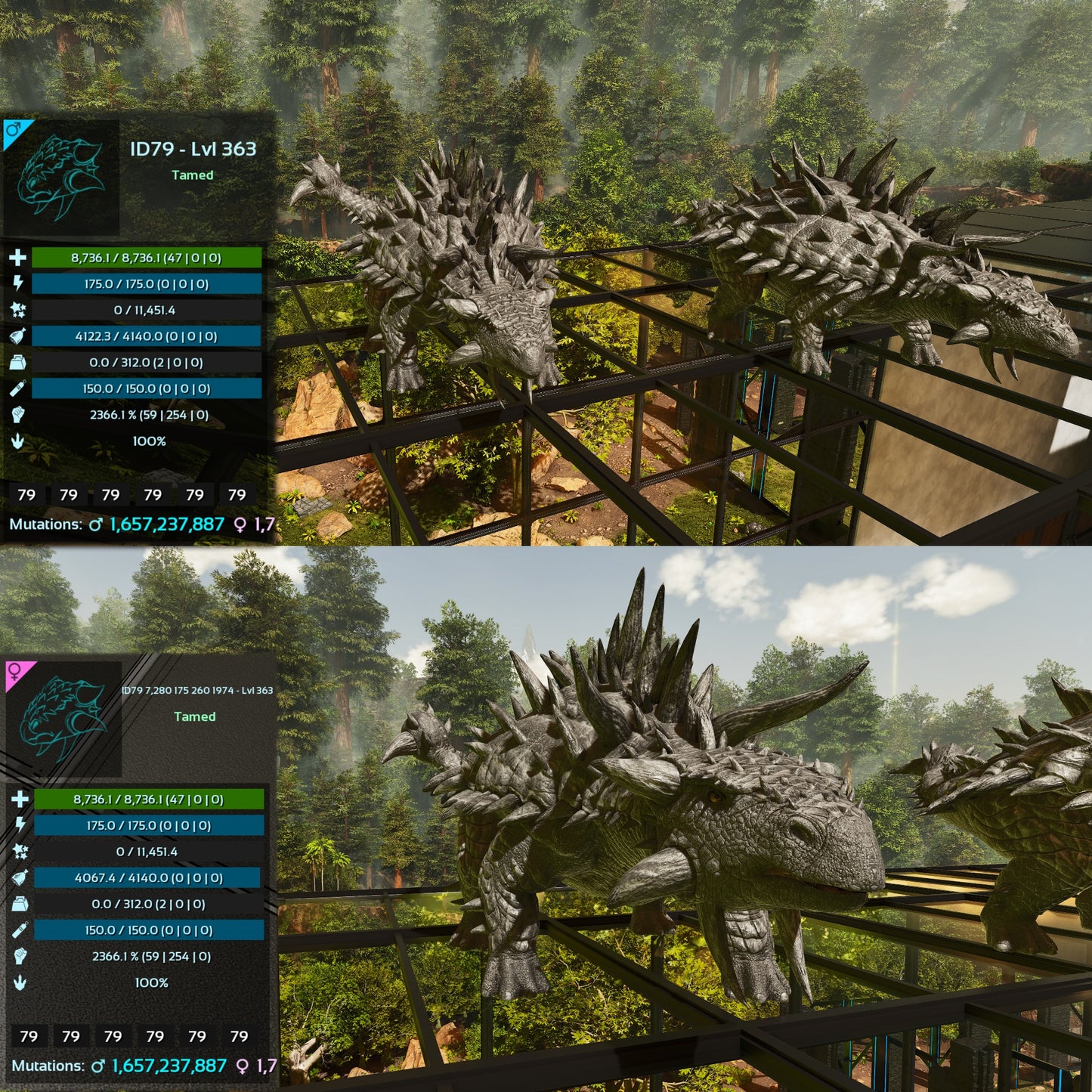 Ankylosaurus / Ankylo Top Stats Solid