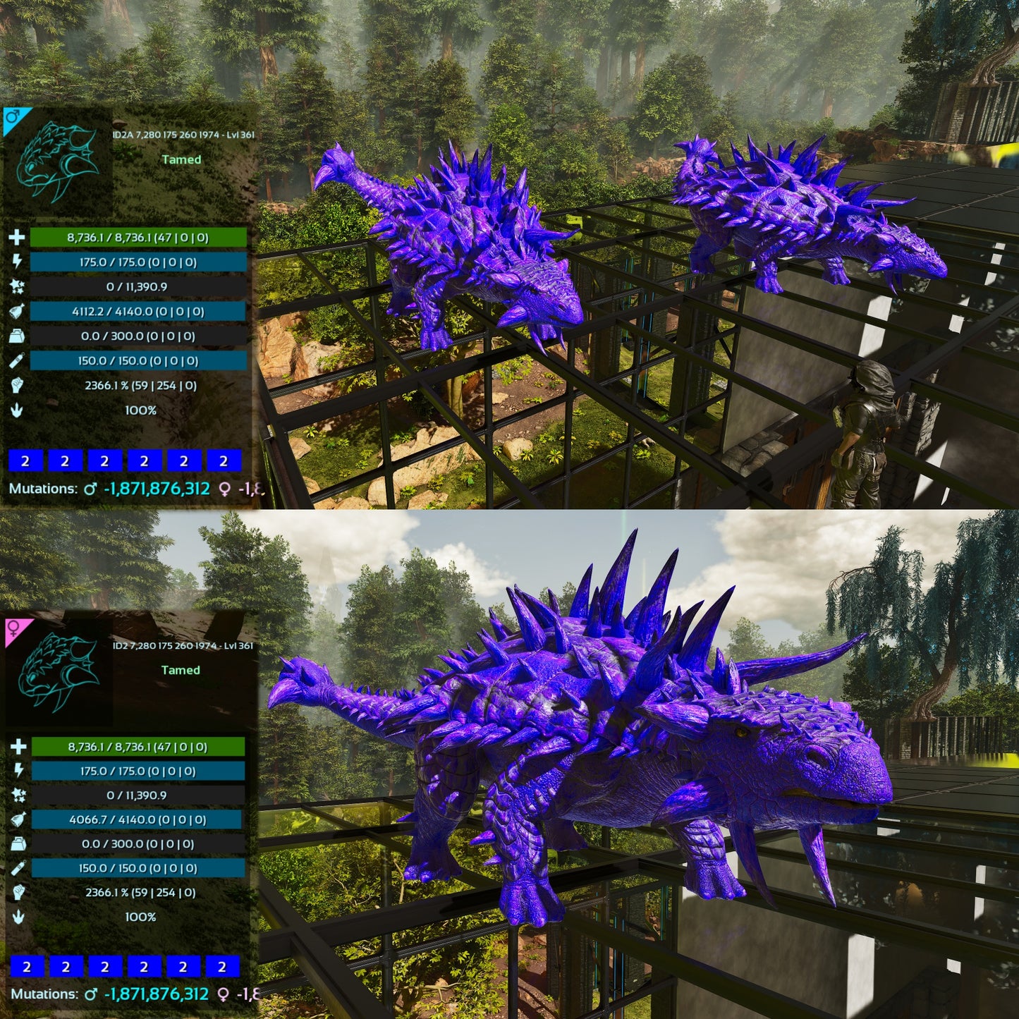 Ankylosaurus / Ankylo Top Stats Solid