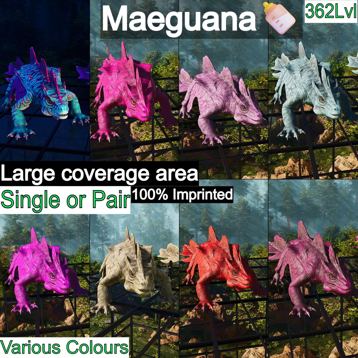 Maeguana Max Level 362 🍼
