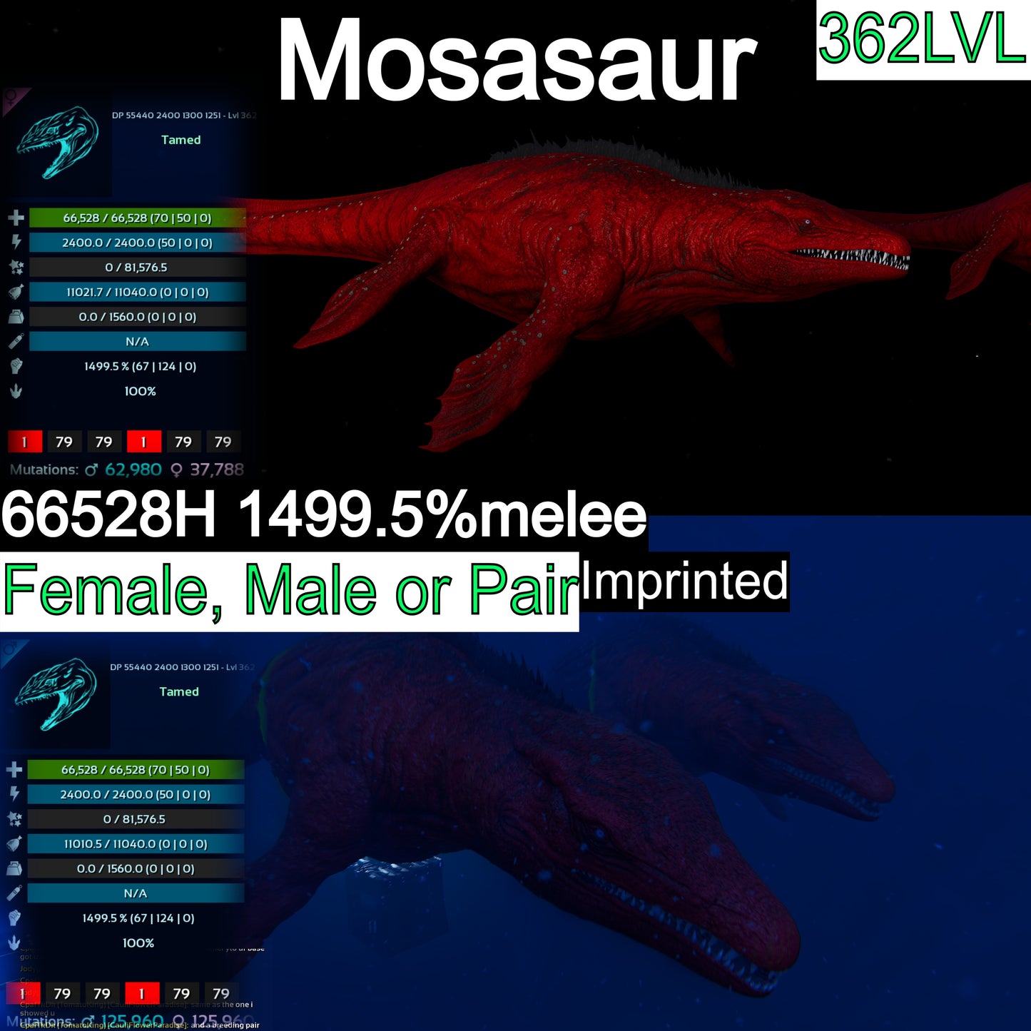 Mosasaurus 66528H 1499.5%melee imprinted