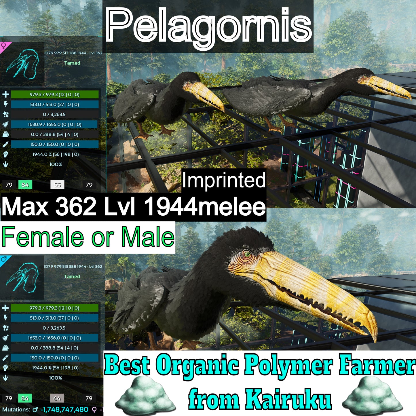 Max 362Lvl Pelagornis / Farm 1944melee Imprint