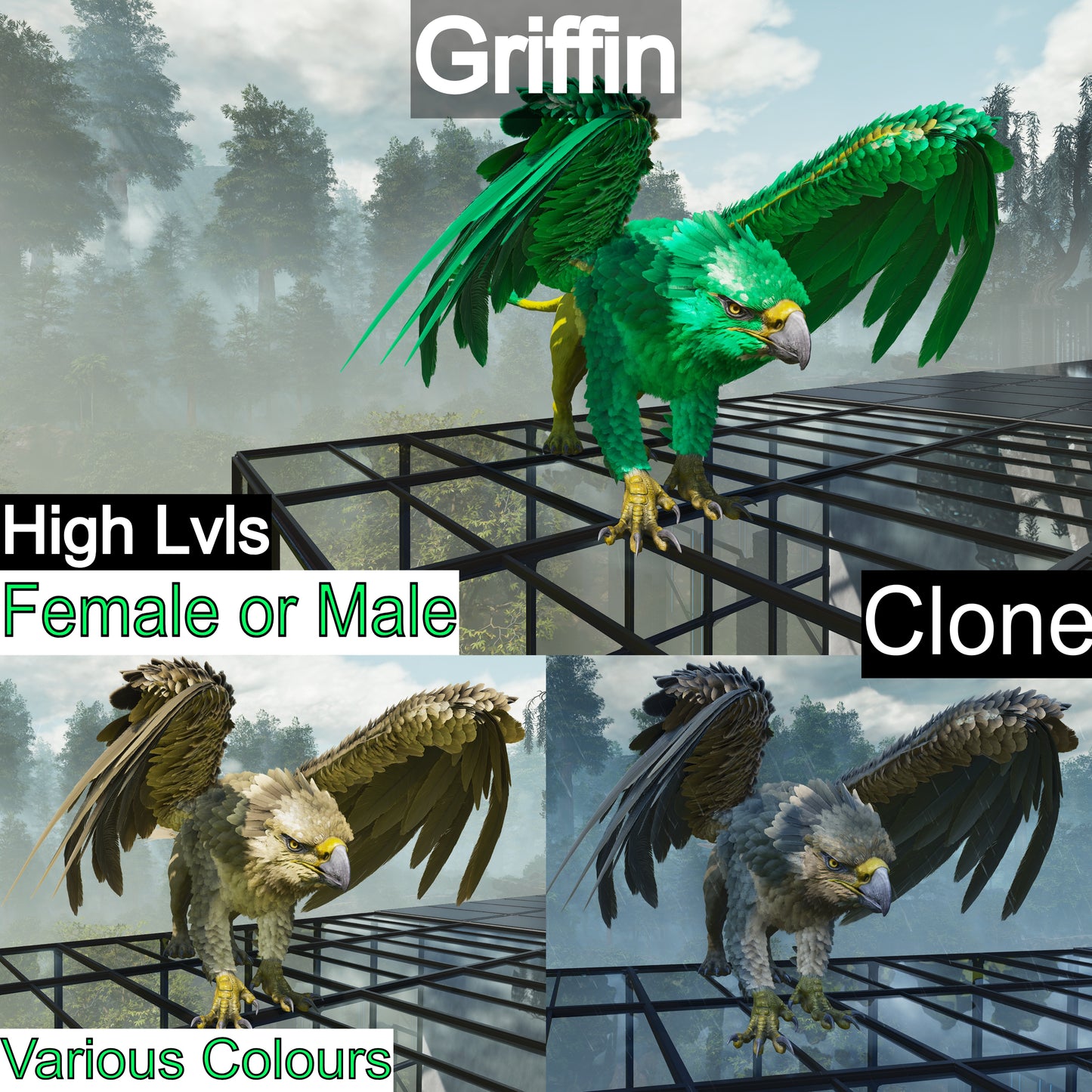 Griffin Clone High Lvl Ragnarok tame