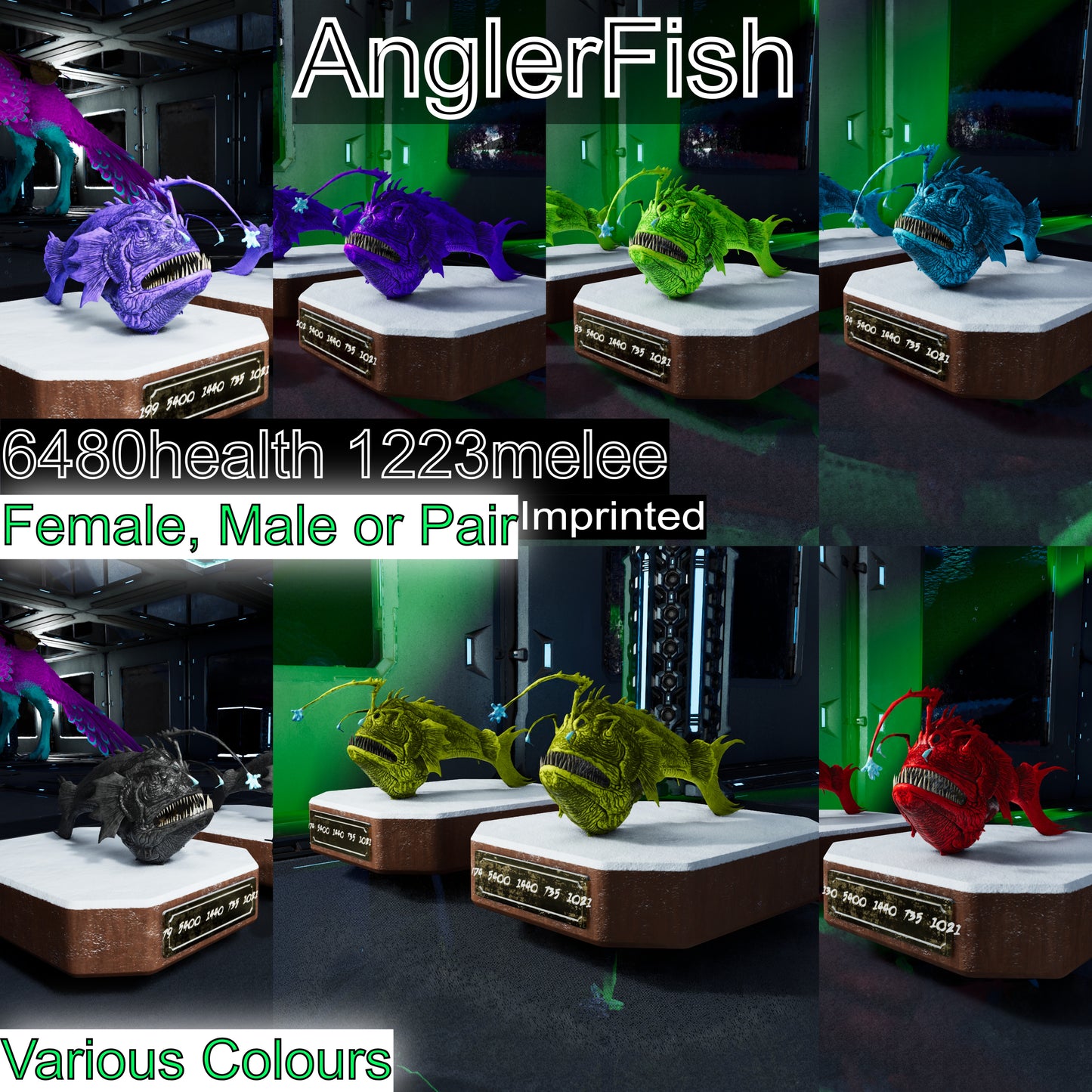 Ark Ascended Pve Buy Anglerfish / SOLIDS