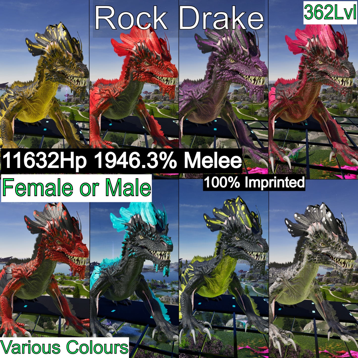 Rock Drake 1946%Melee Mix Colours Imprinted FINAL RELEASE Max