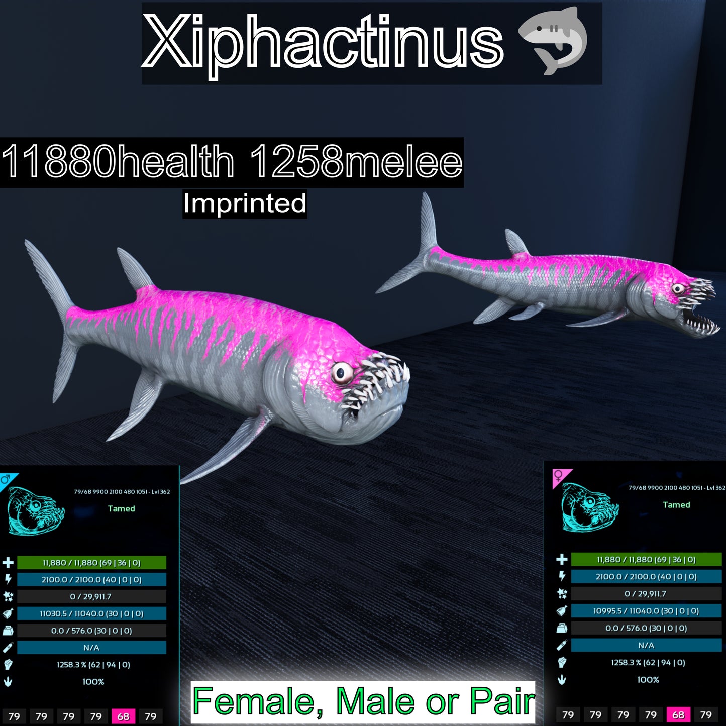 Xiphactinus Max Level 362