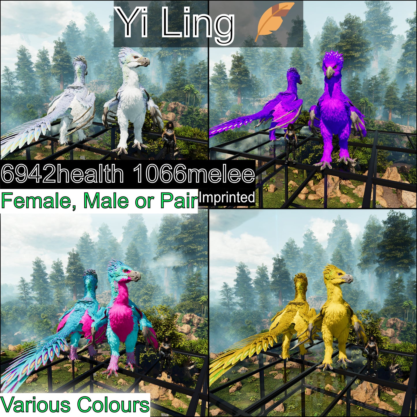 Yi Ling - Max Level 362