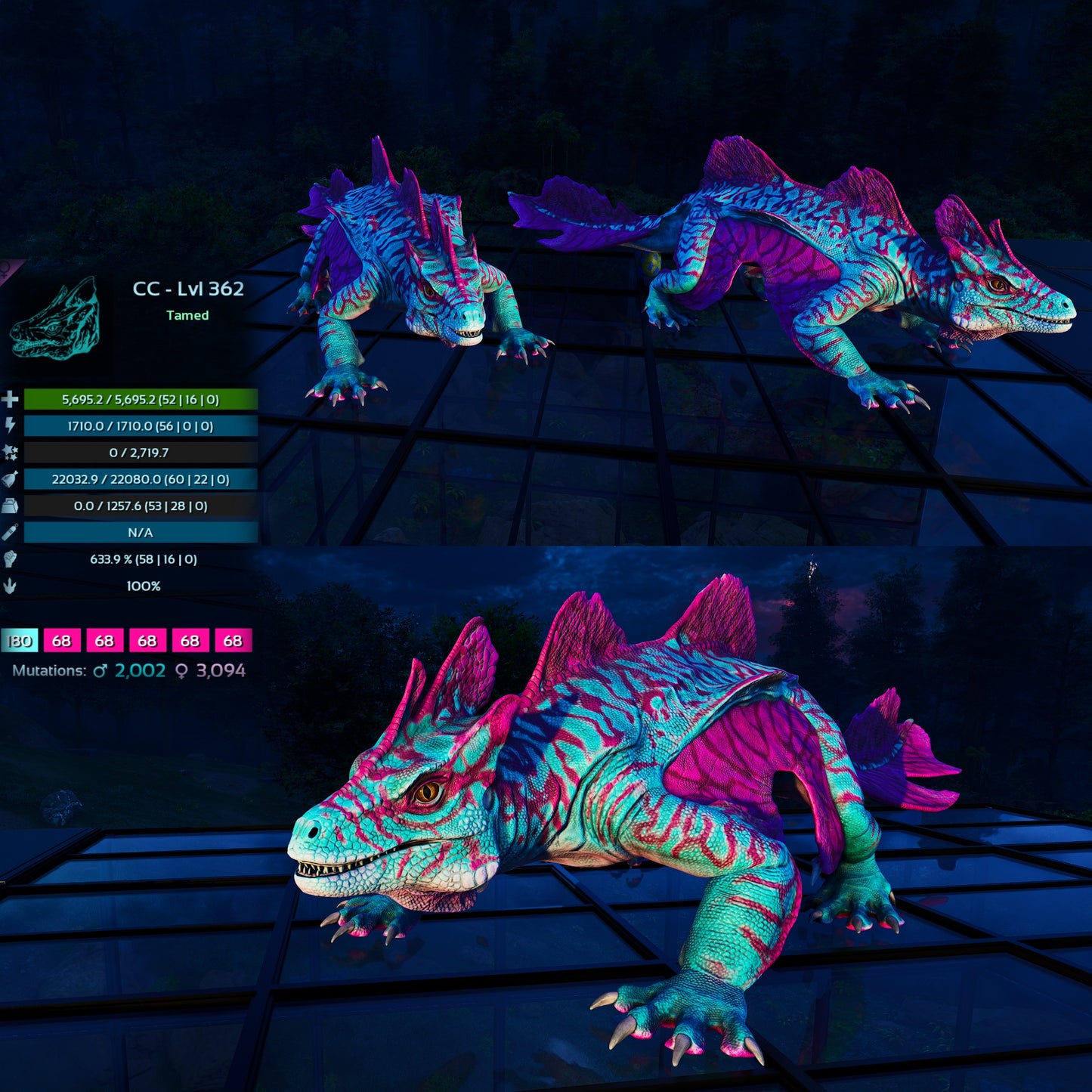 Maeguana Max Level 362 🍼