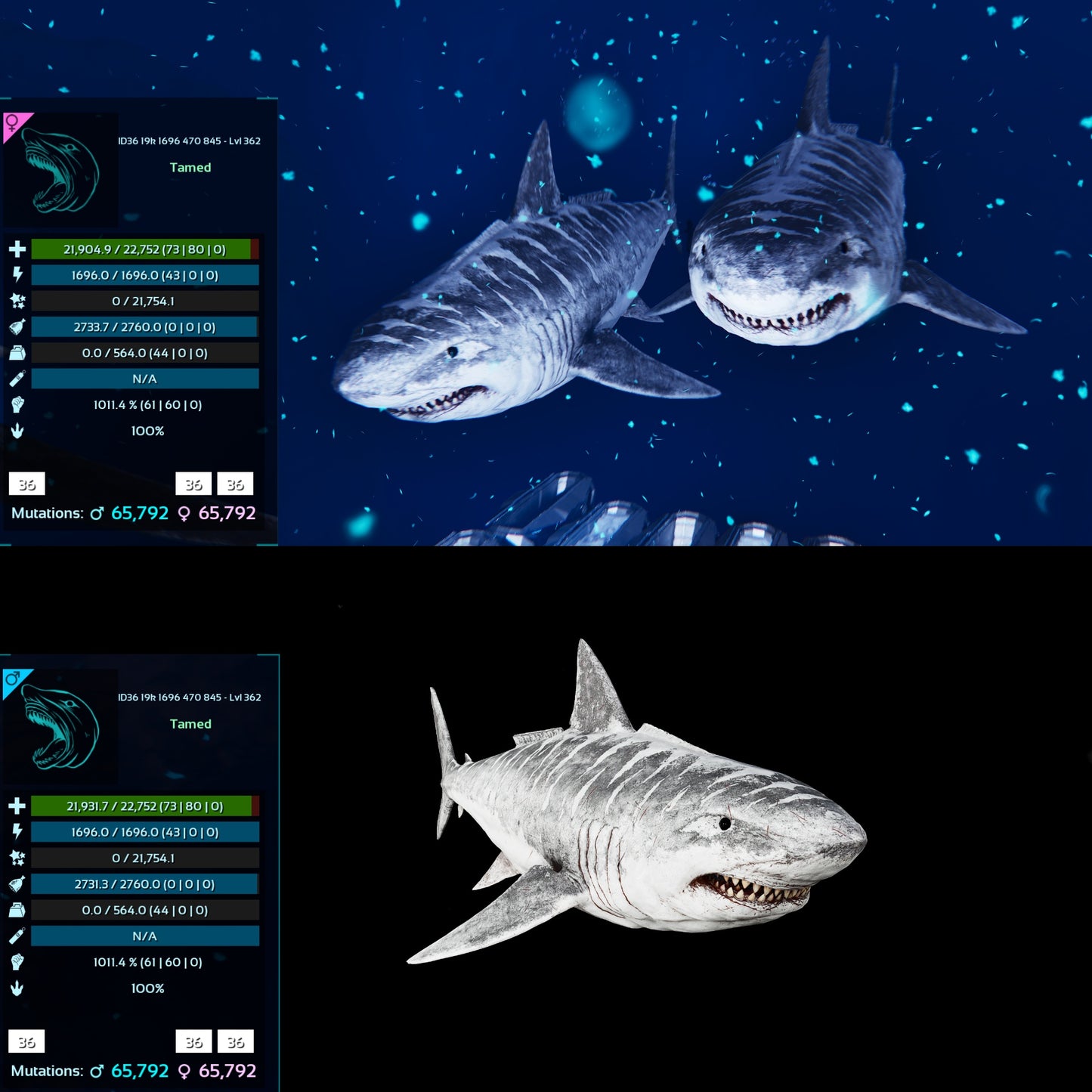 Megalodon Top Stats 362Lvl