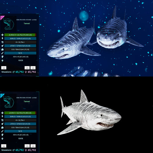 Megalodon Top Stats 362Lvl