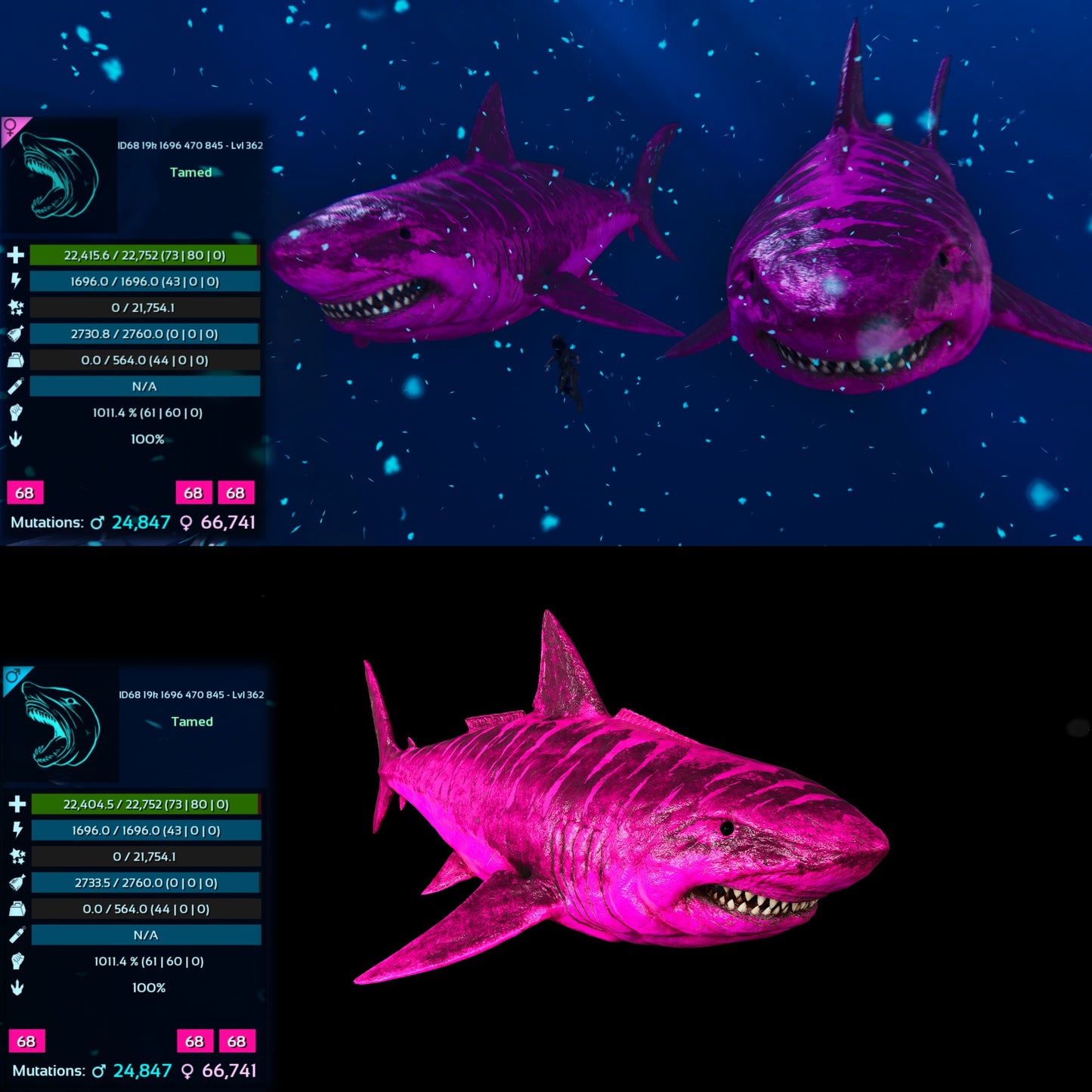 Megalodon Top Stats 362Lvl