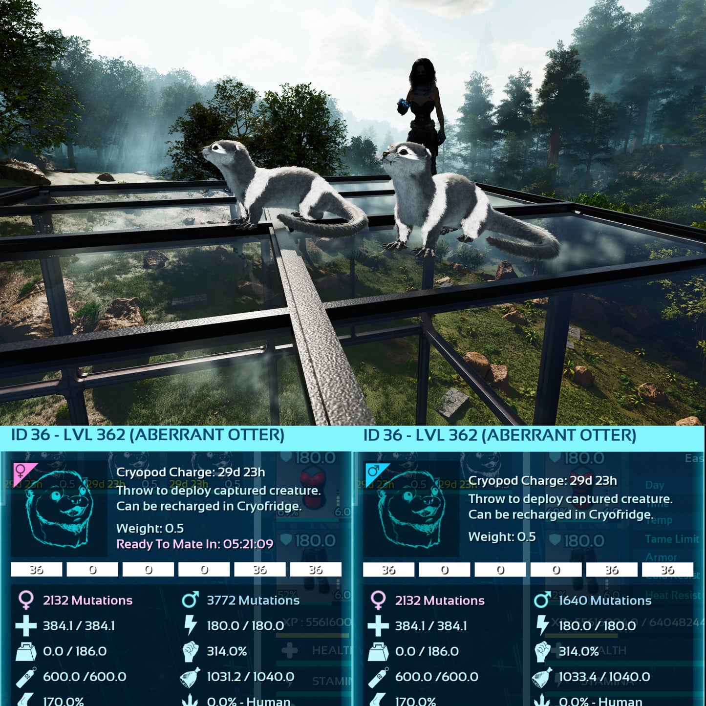 Aberrant Otter Max Level 362