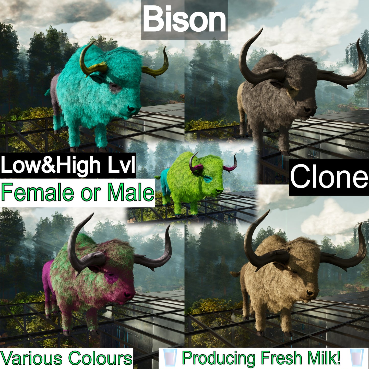 Bison Low&High Lvl Clone