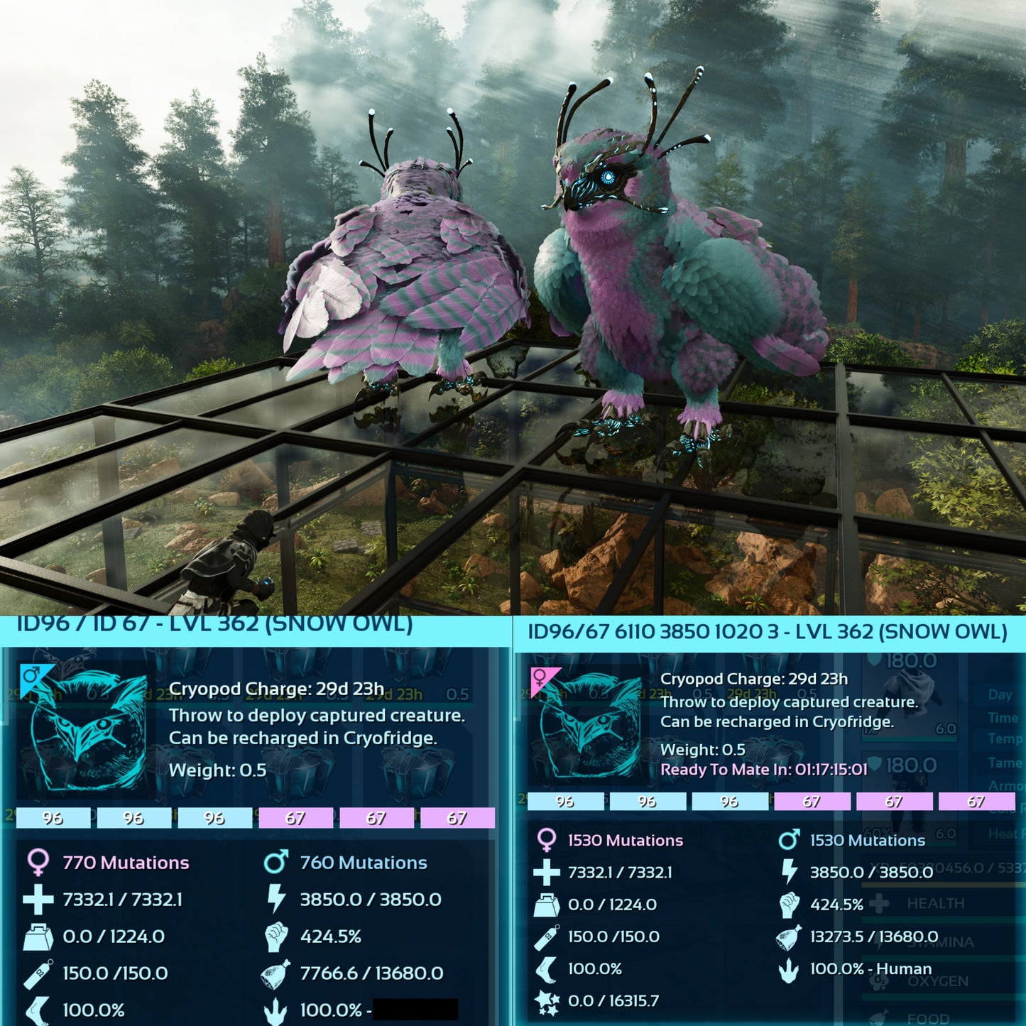 Snow Owl Max Level 362 / Solids / TOP STATS