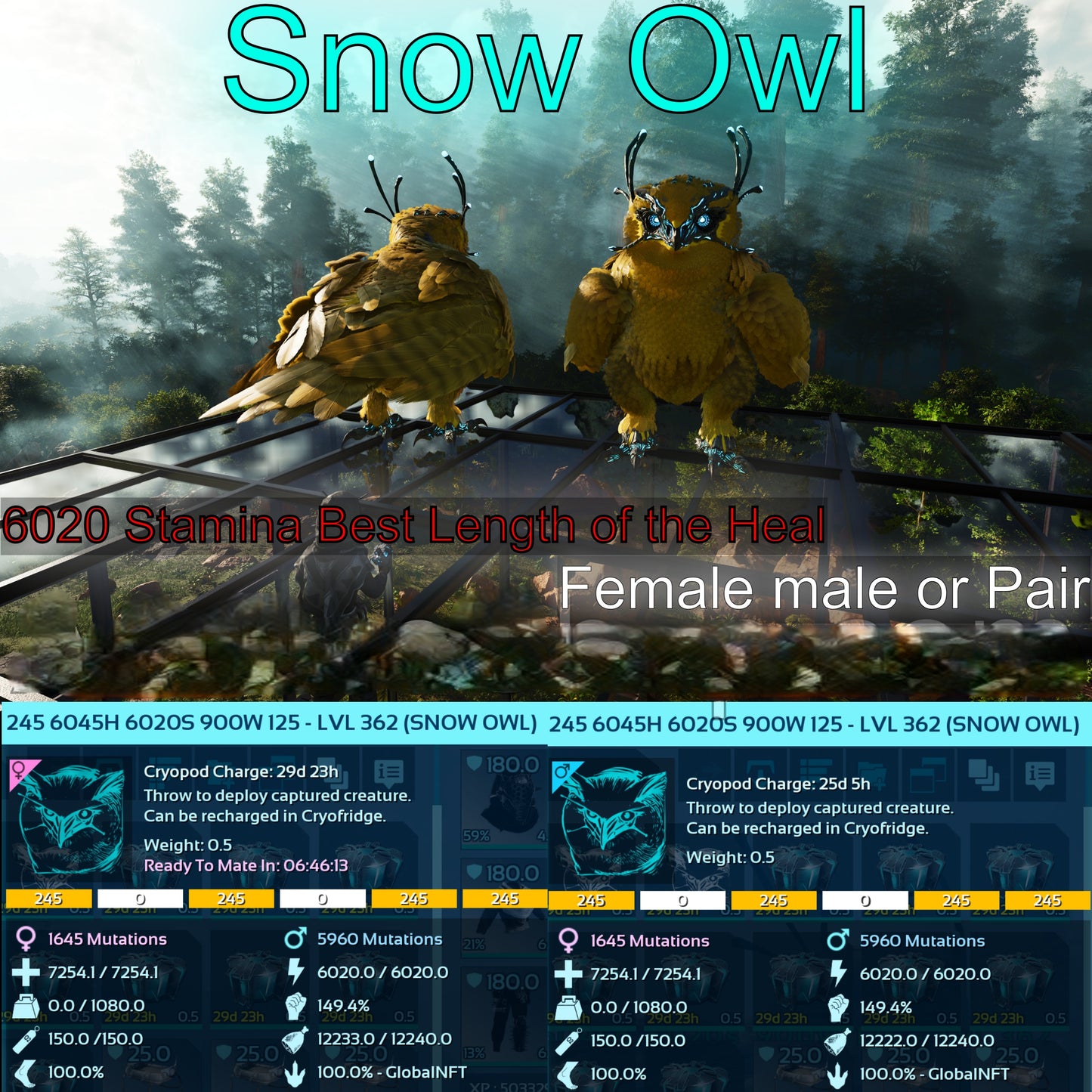 Snow Owl Max Level 362 / Solids / TOP STATS