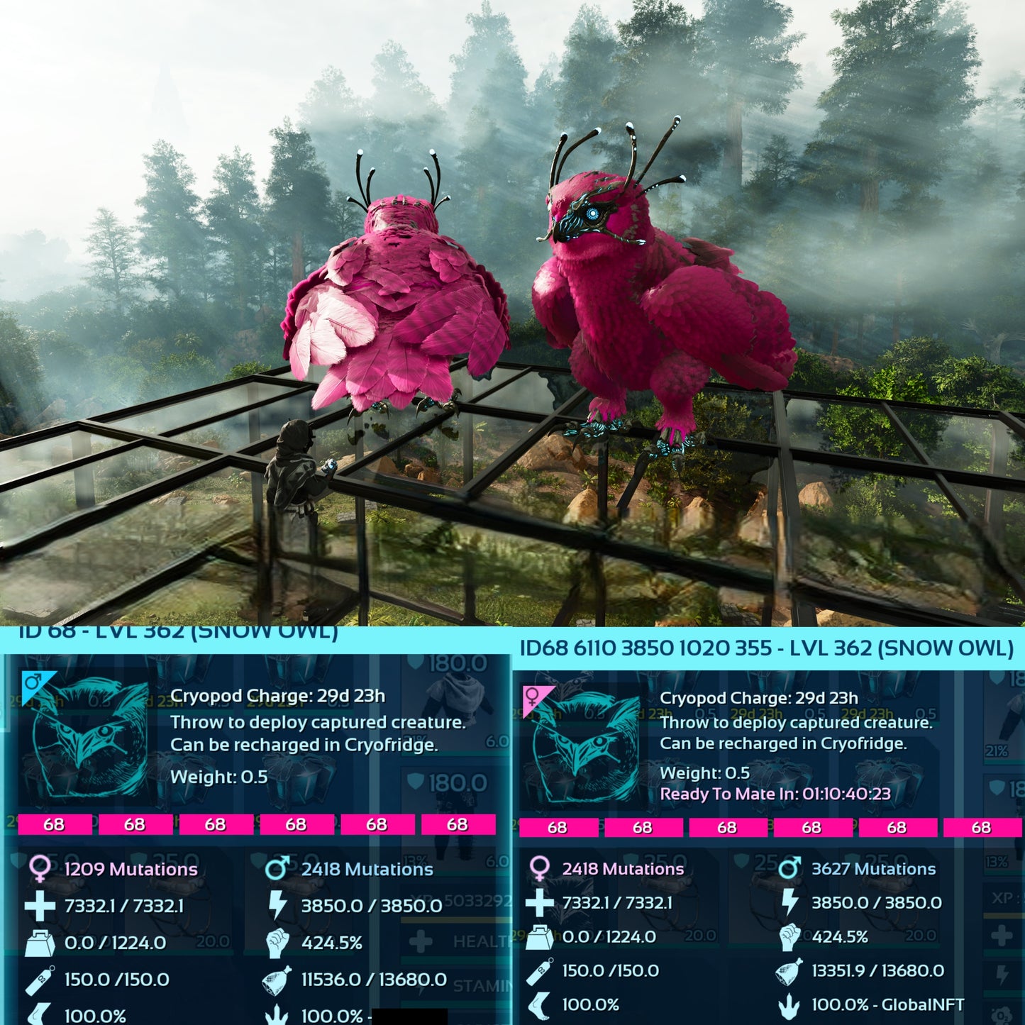 Snow Owl Max Level 362 / Solids / TOP STATS