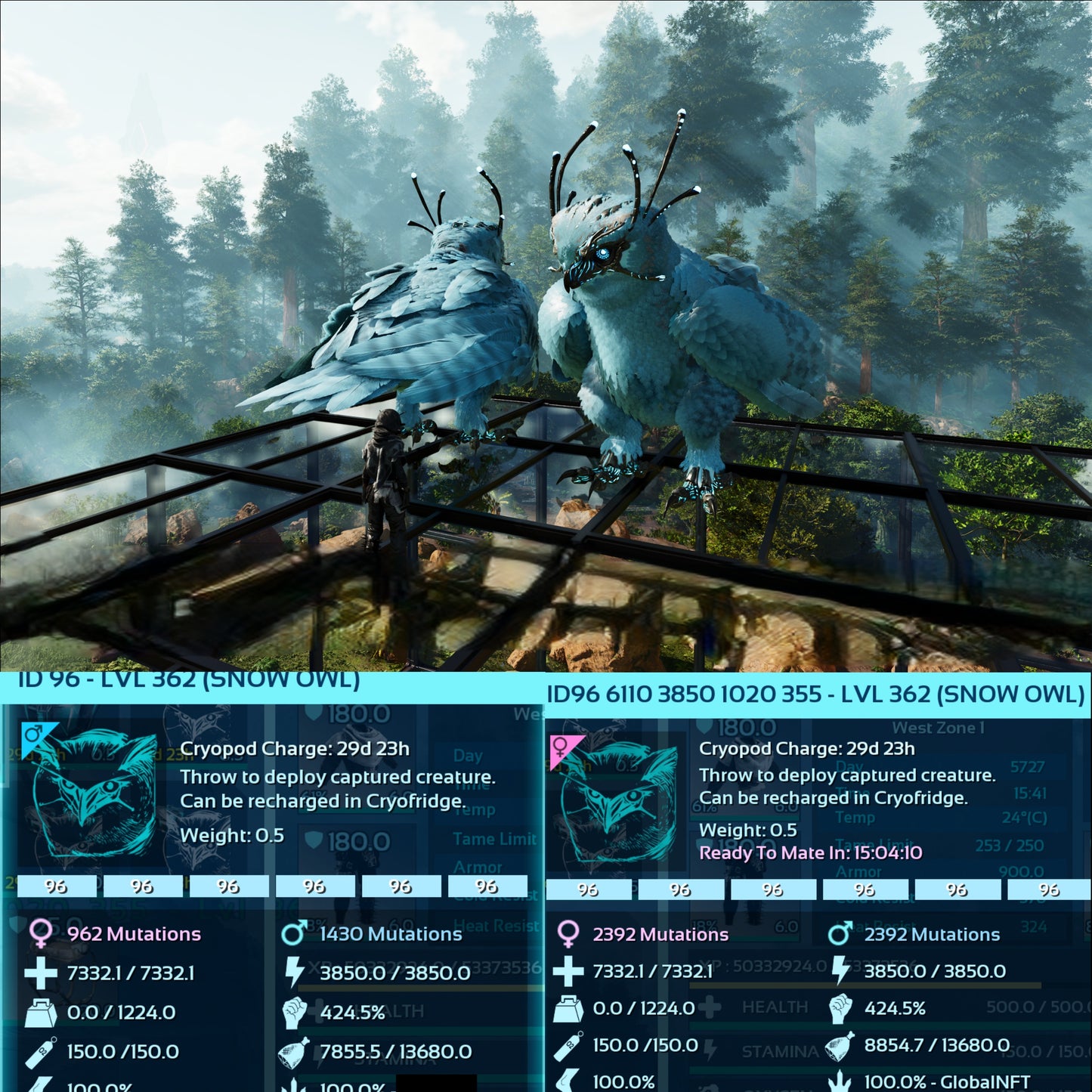 Snow Owl Max Level 362 / Solids / TOP STATS