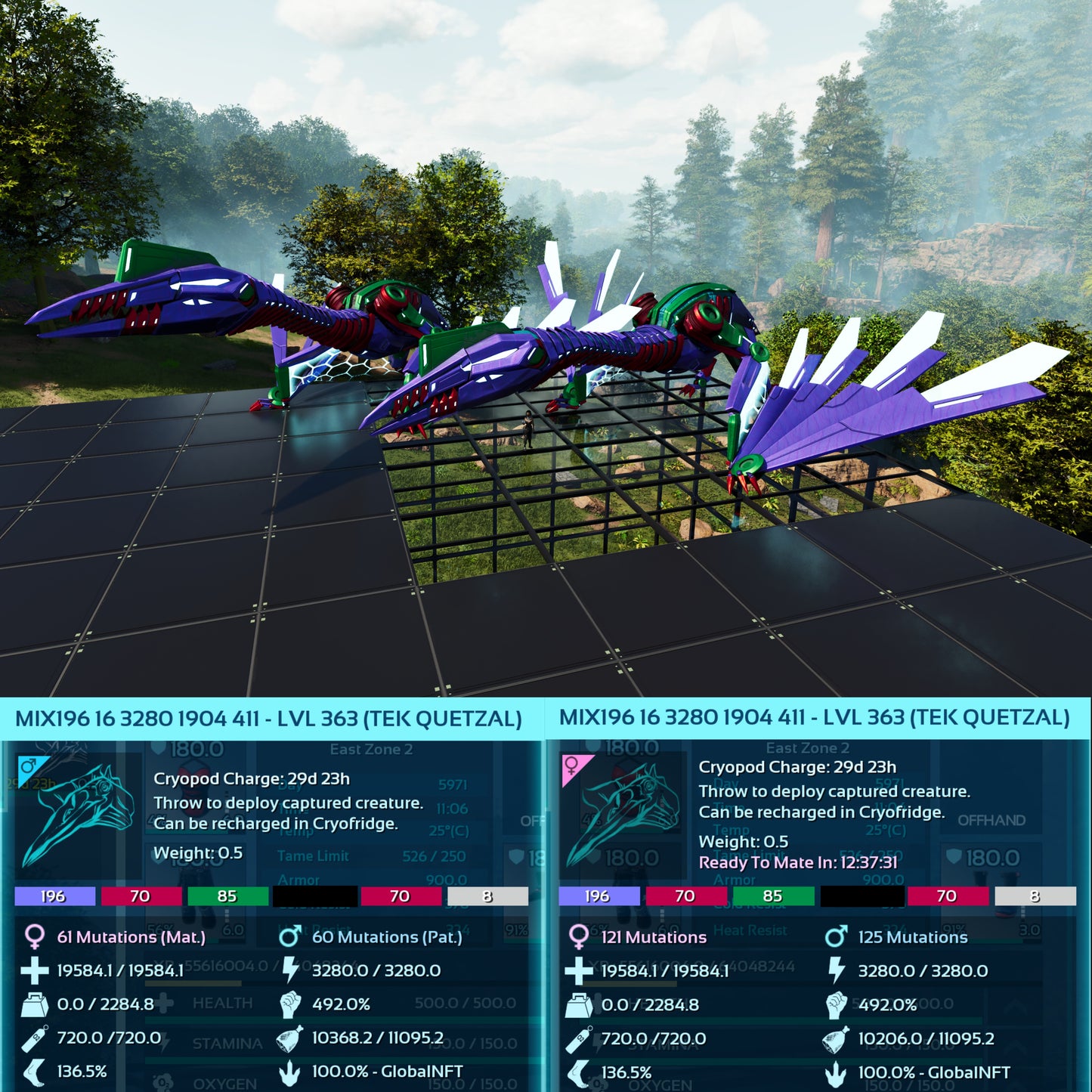 Tek Quetzal Level 363