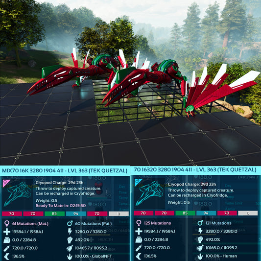 Tek Quetzal Level 363