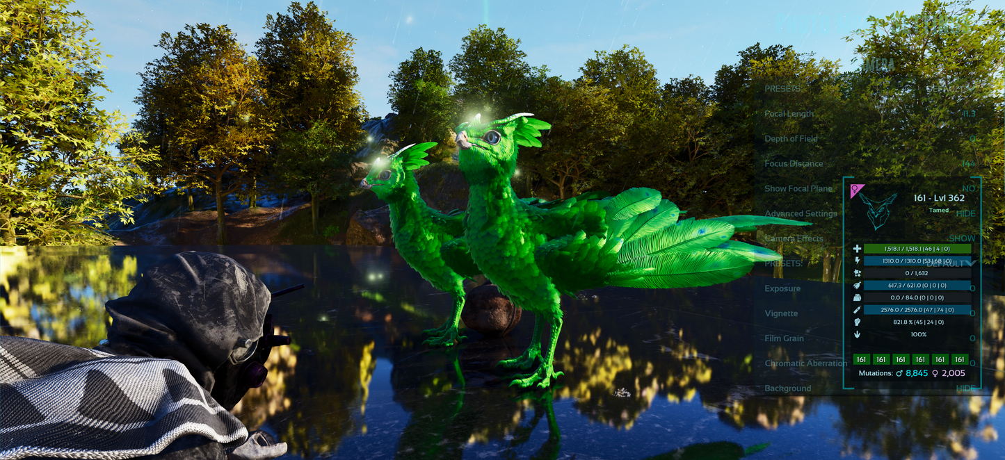 Featherlight Max Level 362