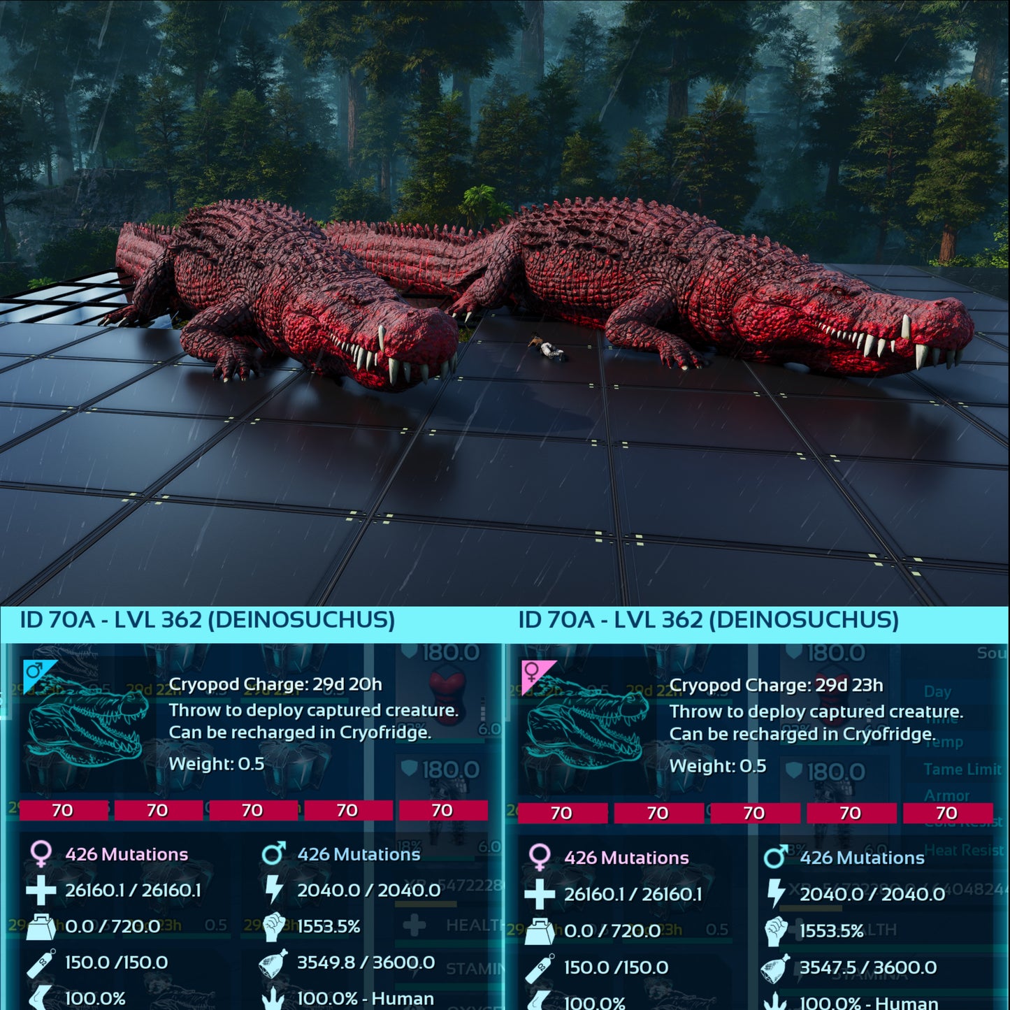 Deinosuchus Max Level 362