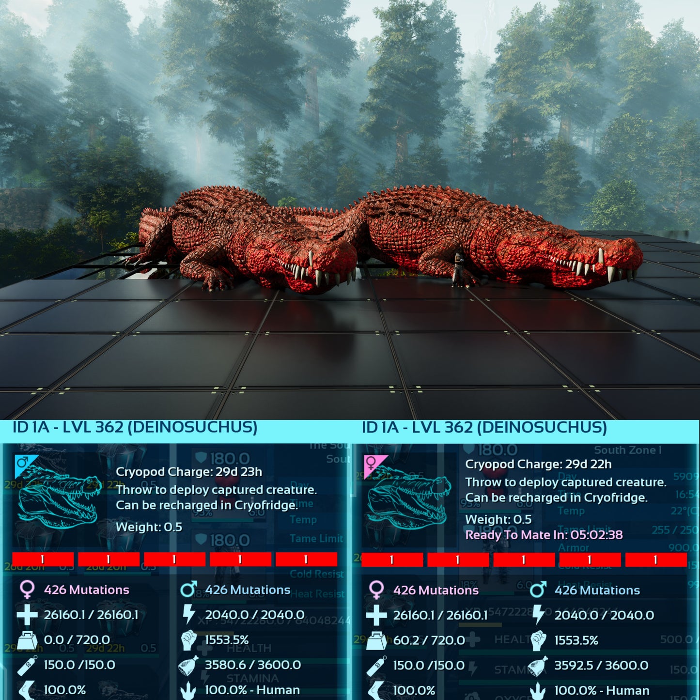 Deinosuchus Max Level 362