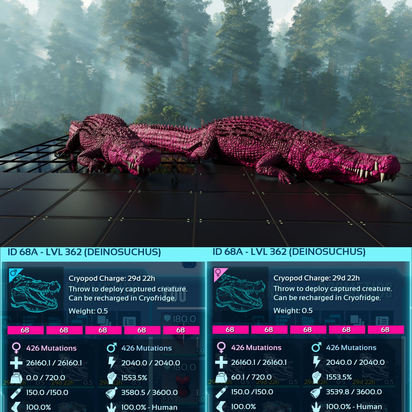Deinosuchus Max Level 362