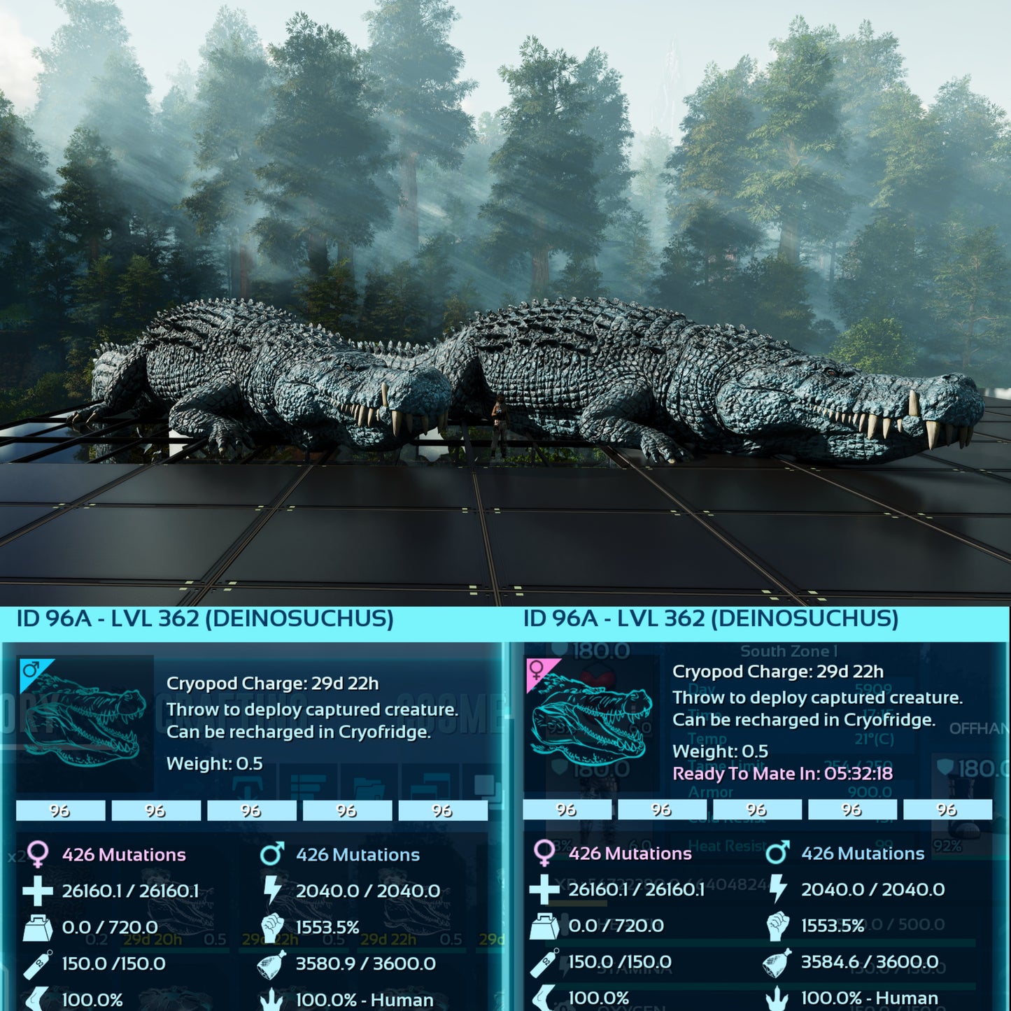 Deinosuchus Max Level 362