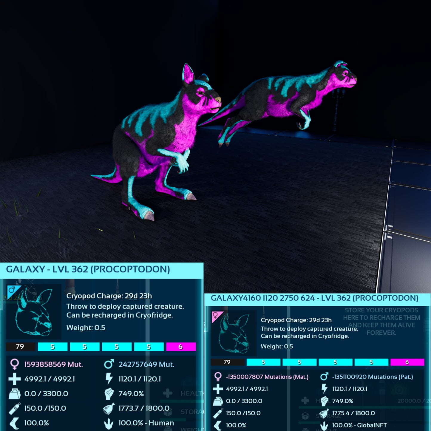 Procoptodon Max Level 362