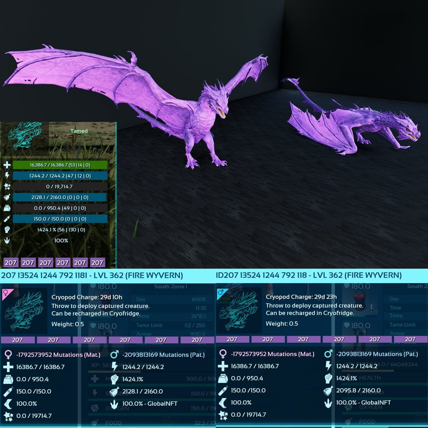 Fire Wyvern Max Level 362 / TOP STATS / Solids