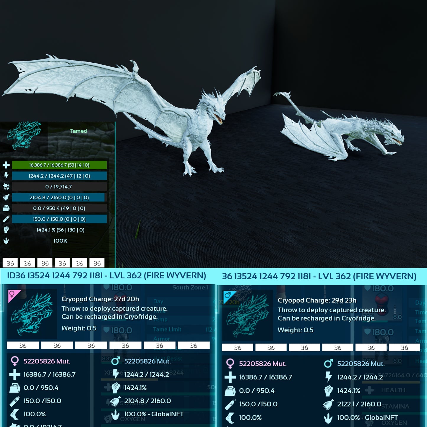 Fire Wyvern Max Level 362 / TOP STATS / Solids