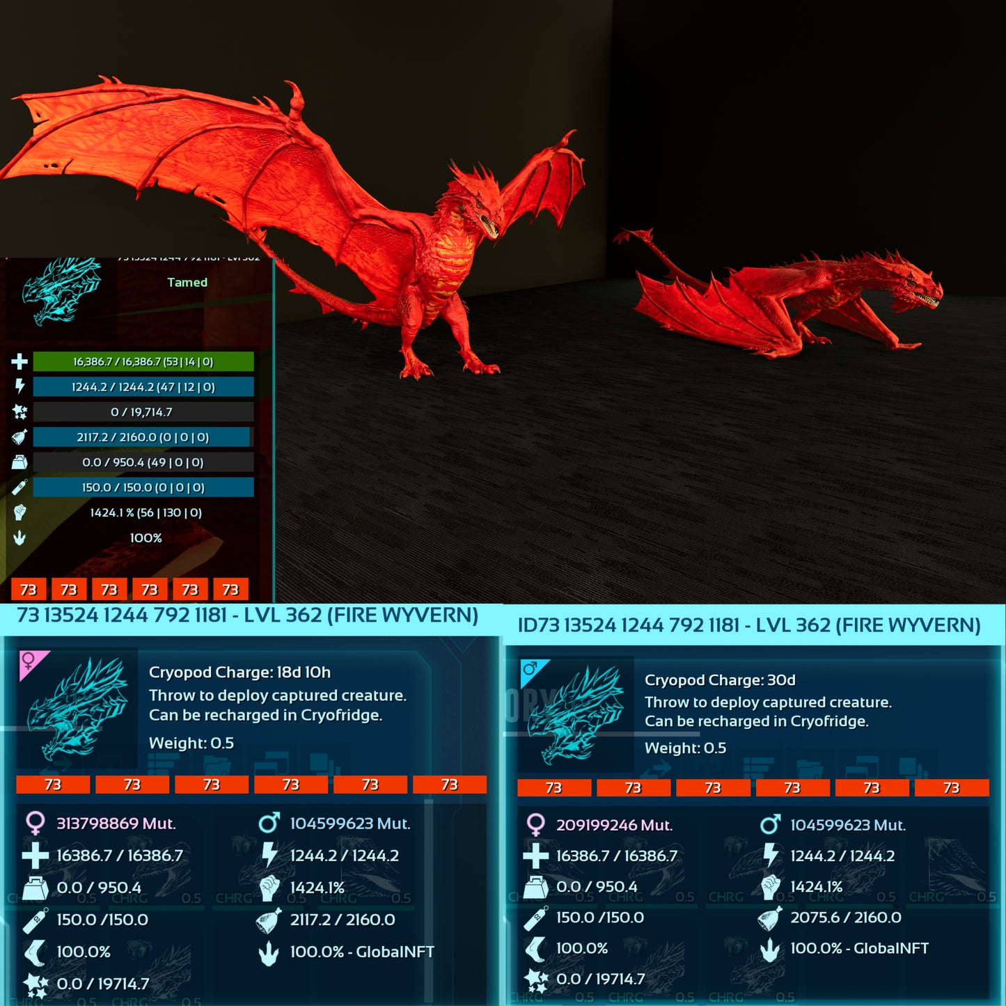 Fire Wyvern Max Level 362 / TOP STATS / Solids