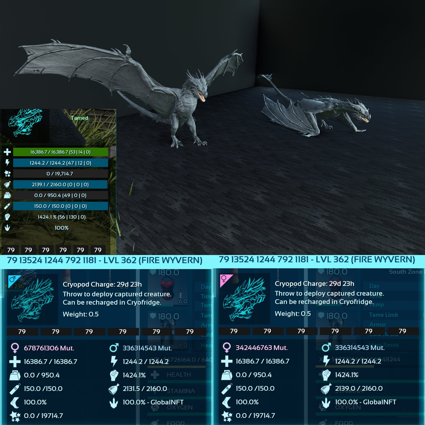 Fire Wyvern Max Level 362 / TOP STATS / Solids