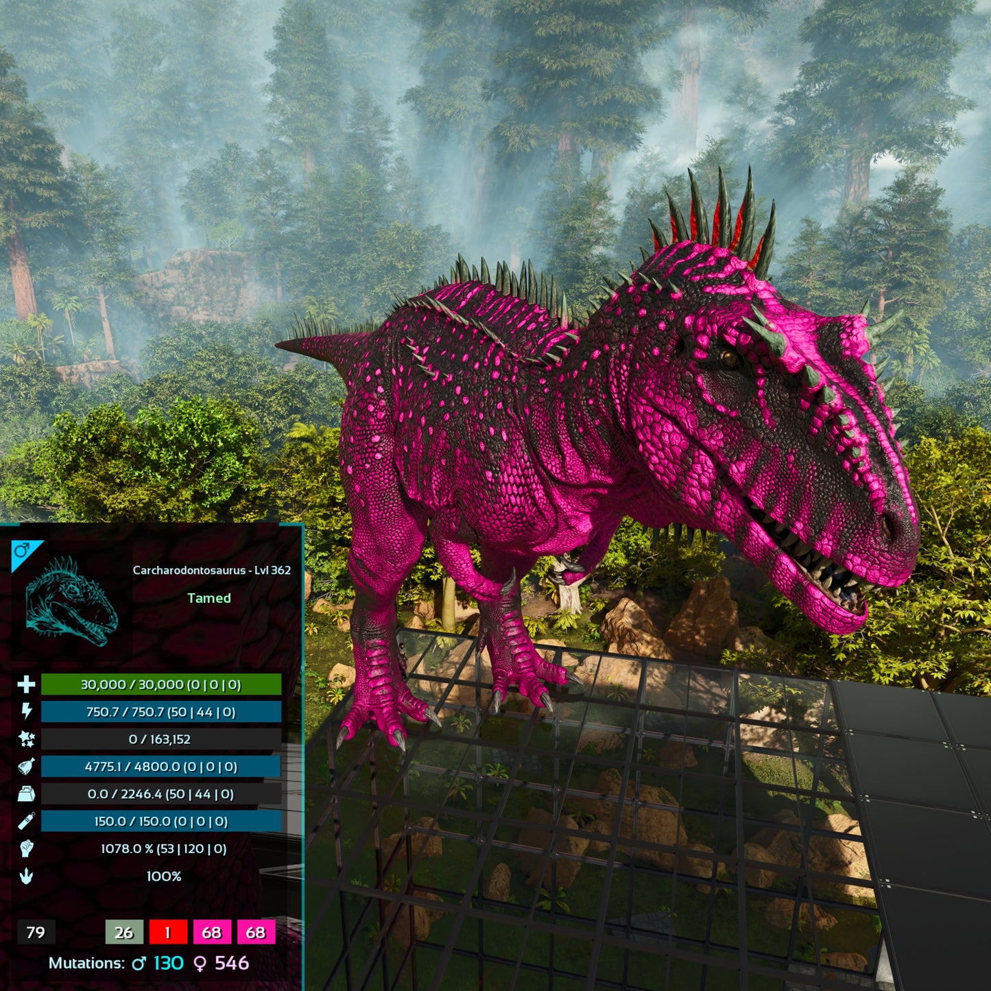 🏷️ Carcharodontosaurus / Carcharo 1078dmg imprint 🏷️