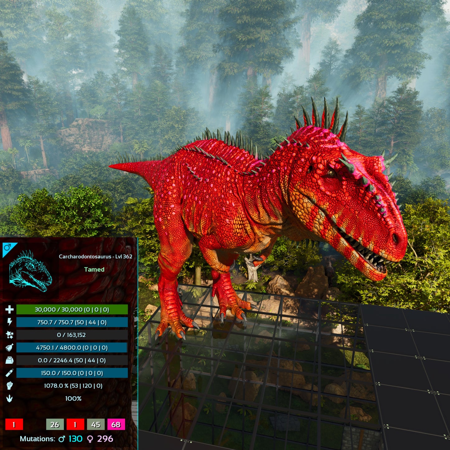 🏷️ Carcharodontosaurus / Carcharo 1078dmg imprint 🏷️