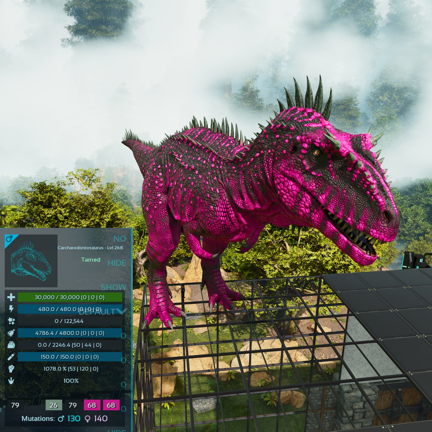 🏷️ Carcharodontosaurus / Carcharo 1078dmg imprint 🏷️