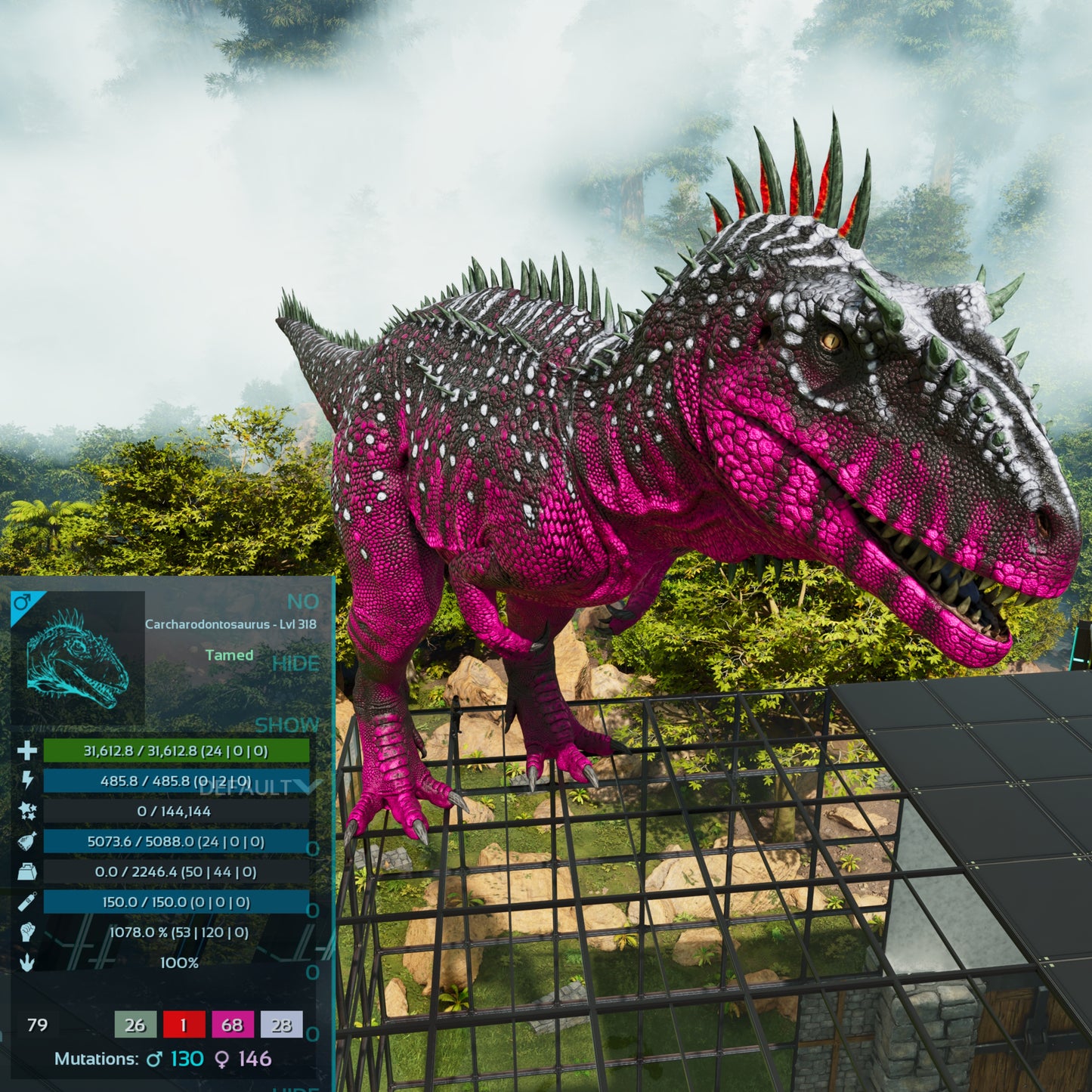 🏷️ Carcharodontosaurus / Carcharo 1078dmg imprint 🏷️